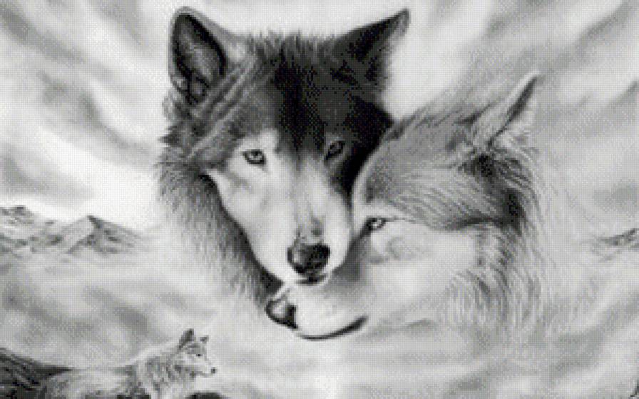 волки - семья, волки, нежность, животные - предпросмотр