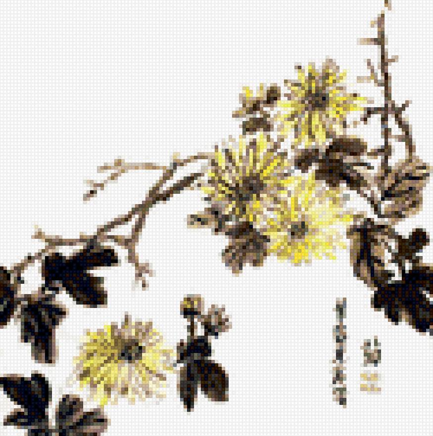 Четыре благородных растения: хризантема - предпросмотр