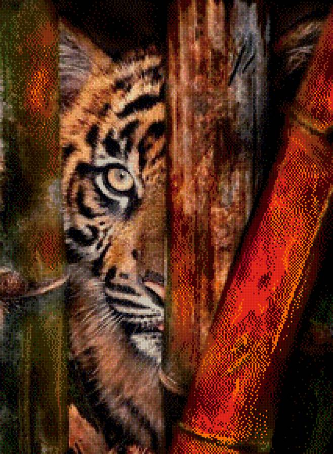 Взгляд тигра - природа, животные, тигр - предпросмотр