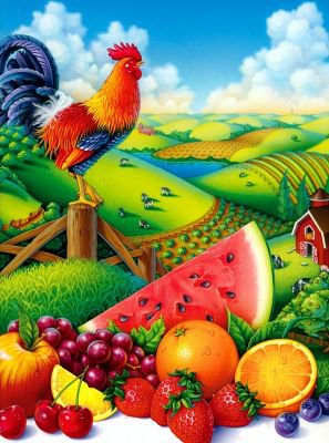 петух - птицы, арбуз, пейзаж, фрукты, клубника, ягоды - оригинал