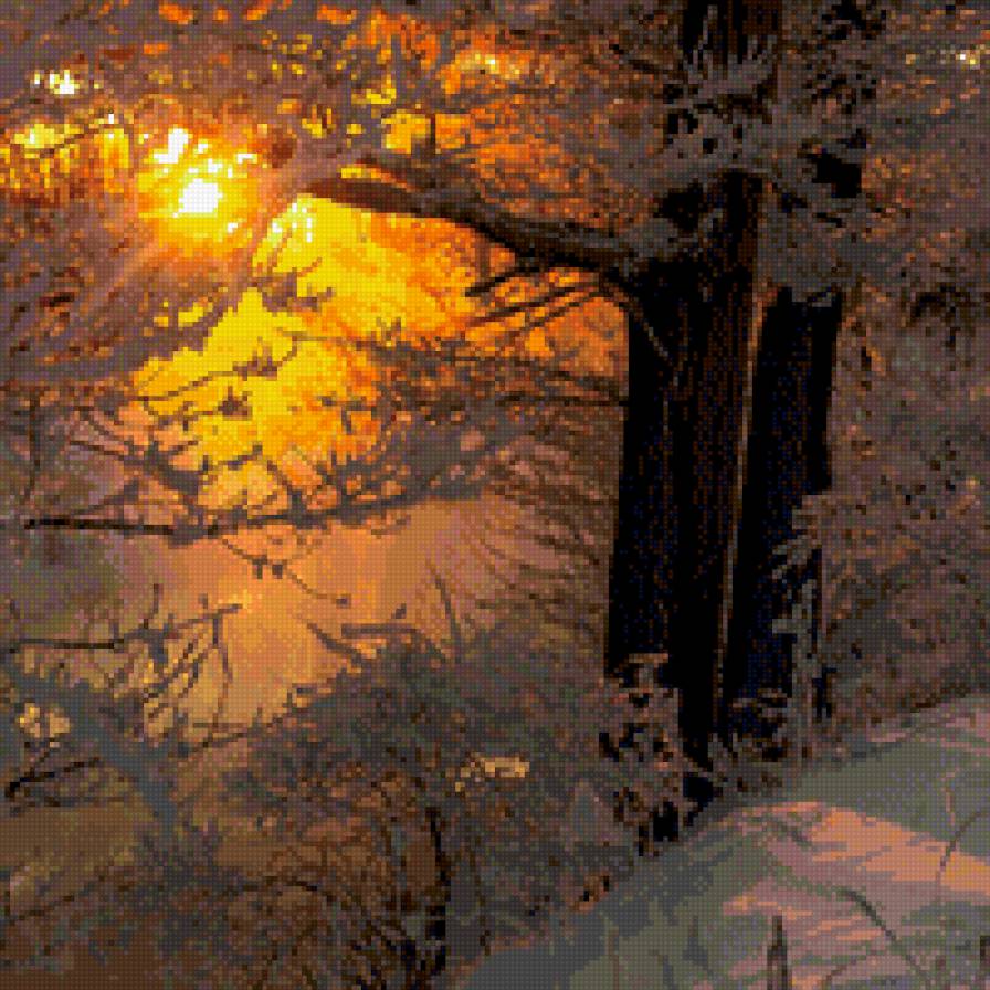 Оранжевый закат - снег, вечер, закат, зима, природа, пейзаж, лес - предпросмотр