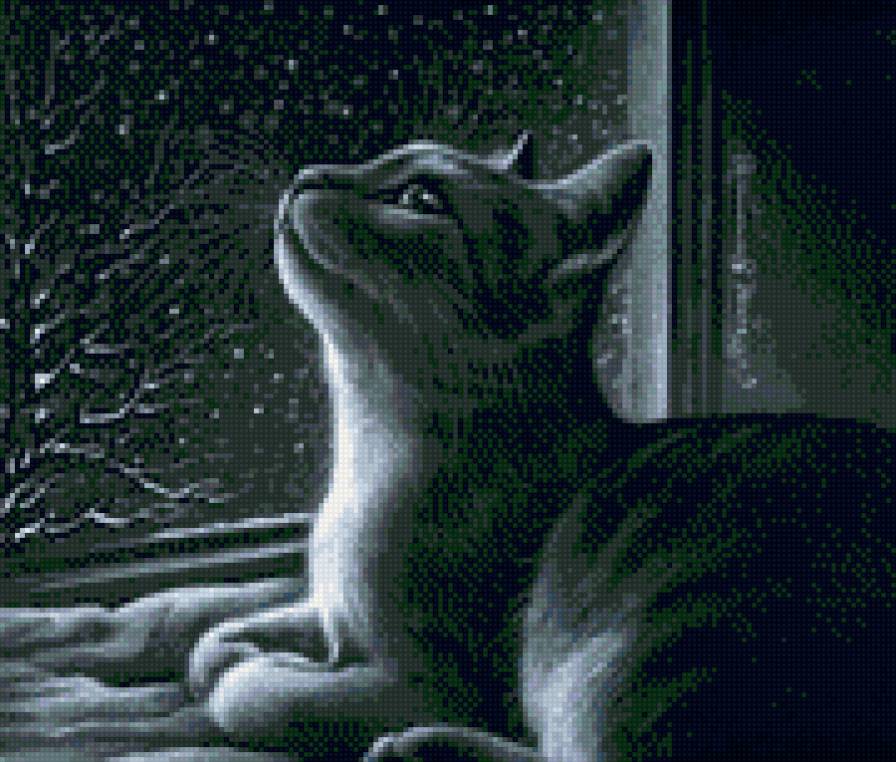 Кошка - ночь, кошка, монохром - предпросмотр