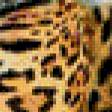 Предпросмотр схемы вышивки «леопарды» (№760362)