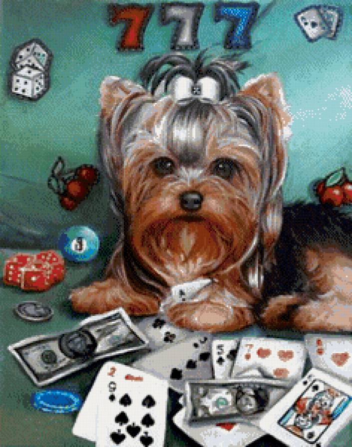 покер - песик, карты, собачки, собака, азарт, игра, собаки, казино, риск, картина - предпросмотр
