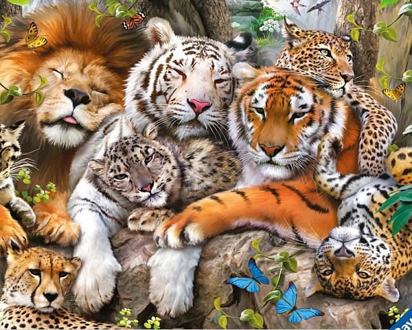 большие кошки - большие кошки, тигры, львы, кошки, животные - оригинал