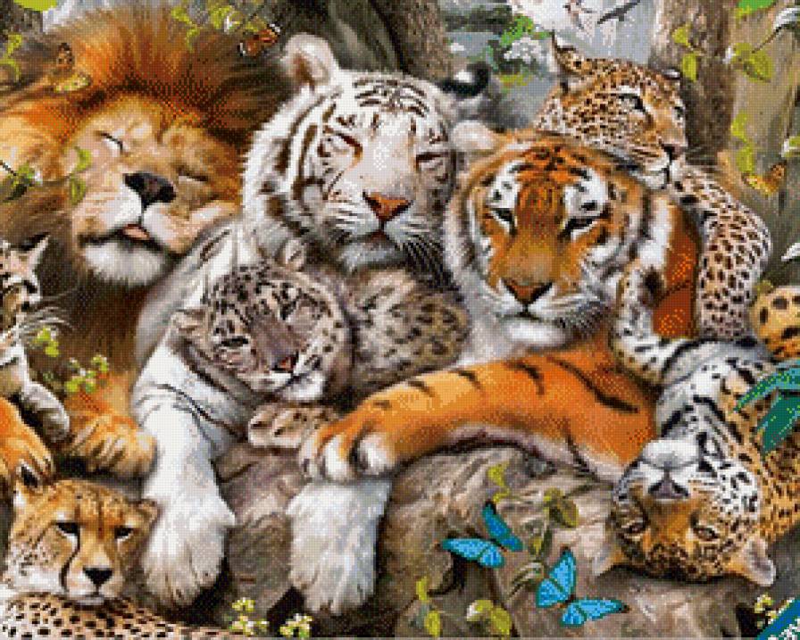 большие кошки - кошки, львы, большие кошки, животные, тигры - предпросмотр