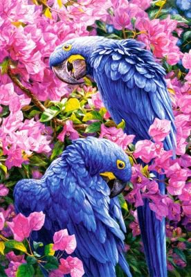 птички - картина, птицы, попугайчики, попугаи, попугай, цветы, весна - оригинал