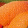 Предпросмотр схемы вышивки «абрикосы» (№762075)