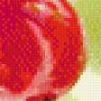 Предпросмотр схемы вышивки «красная смородина» (№762135)
