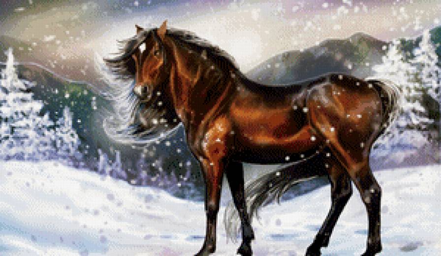 конь - конь, зима - предпросмотр