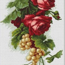 Оригинал схемы вышивки «Rosas y Uvas» (№762977)