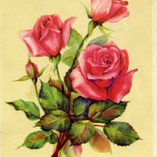 Оригинал схемы вышивки «серия "розы"» (№763654)