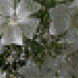 Предпросмотр схемы вышивки «белая нежность» (№763692)