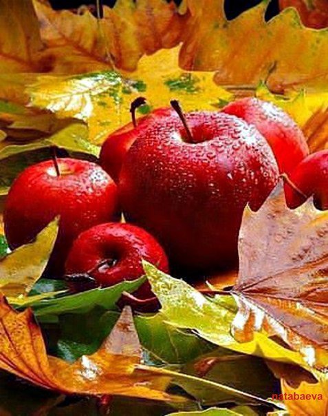 Яблоки в листьях - яблоки, осень, листья - оригинал