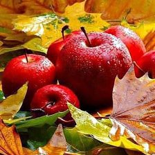 Яблоки в листьях