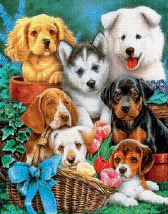 собачки - собачки, щенок, песик, собаки, щенки, собака, животные - предпросмотр