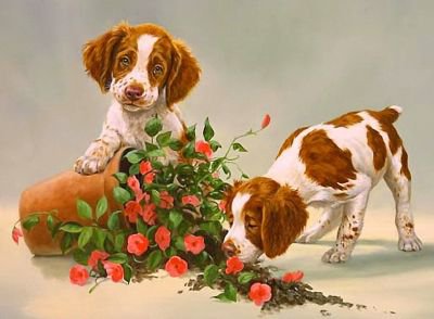 забияки - песик, собачки, собака, щенки, животные, цветы, вазон, собаки, щенок - оригинал