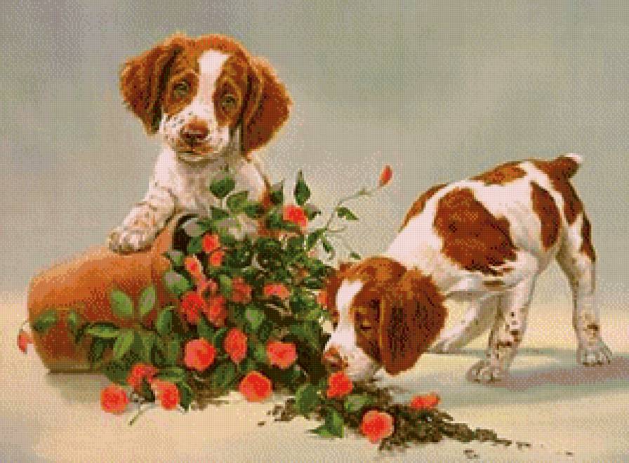забияки - цветы, собачки, песик, животные, щенок, собака, собаки, вазон, щенки - предпросмотр