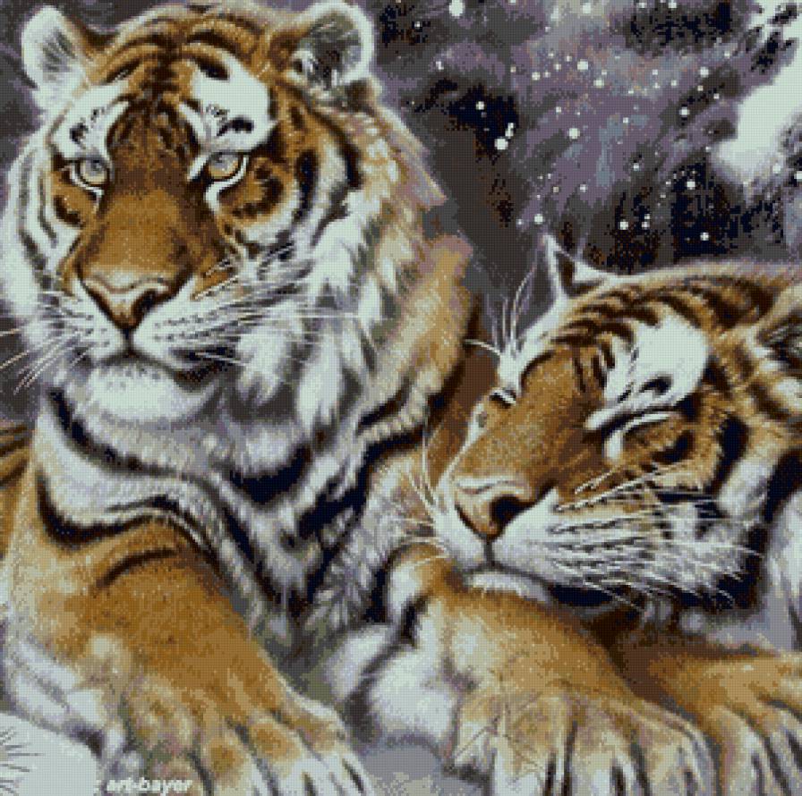 Тигринная любовь! - животные, любовь, тигры - предпросмотр