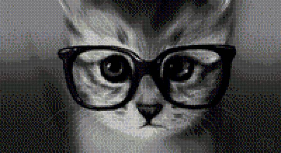 котёнок - котенок, хипстер, очки, кот - предпросмотр