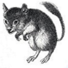Оригинал схемы вышивки «дружбан поллитровой мыши» (№765570)