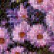 Предпросмотр схемы вышивки «осенние цветы» (№766719)