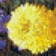 Предпросмотр схемы вышивки «хризантемы» (№768254)