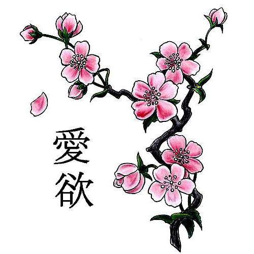 Ветка Сакуры - ветка, цветы, сакура - оригинал