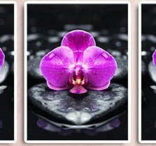 Оригинал схемы вышивки «орхидея» (№768831)