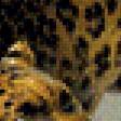 Предпросмотр схемы вышивки «леопард» (№769510)