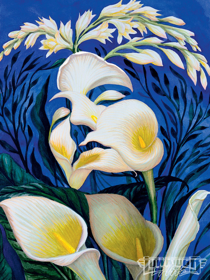 Иллюзия цветов 2 - иллюзия, растения, дева, женщина, кала, букет, девушка, цветы - оригинал