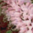 Предпросмотр схемы вышивки «Цветы» (№770524)
