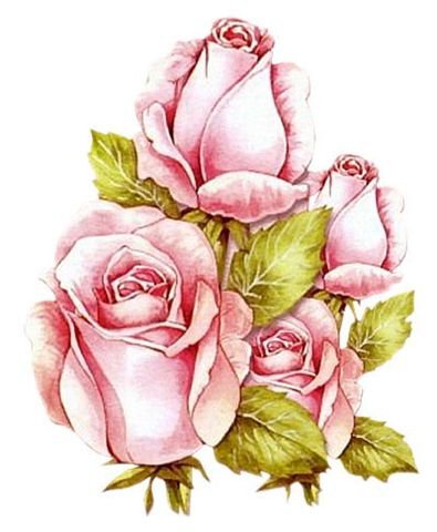 №771081 - розы, цветы - оригинал