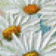 Предпросмотр схемы вышивки «картина-ромашки» (№771737)