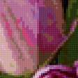 Предпросмотр схемы вышивки «тюльпаны» (№772406)