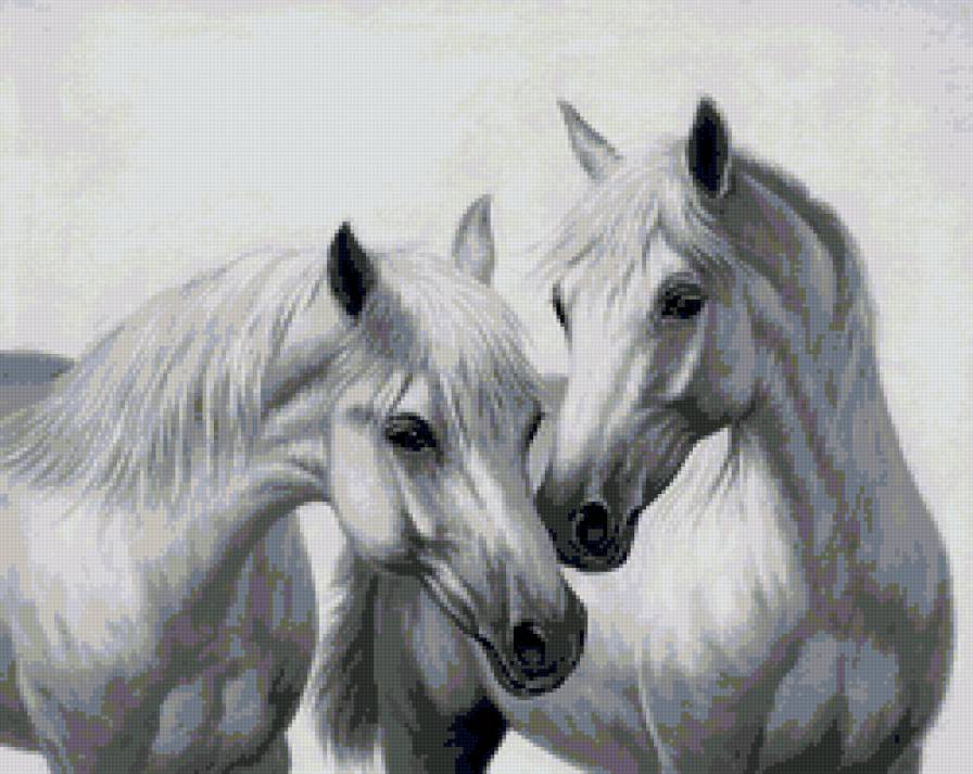 пара белых лошадей - лошади, пара - предпросмотр