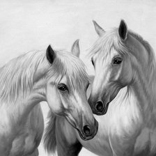 Оригинал схемы вышивки «пара белых лошадей» (№772446)