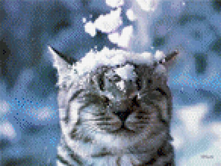 Снежный кот - белый, кот, пушистый, зима, снег - предпросмотр