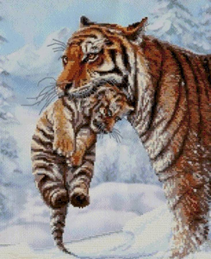 Тигры - тигры, животные, зима, тигренок - предпросмотр