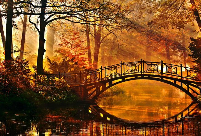 осенний парк - мост, сень, пейзаж, монохром, парк, деревья, времена года, утро - оригинал