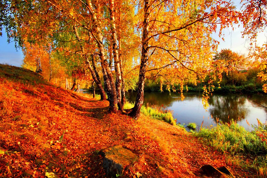 осень - парк, времена, пейзаж, года, озеро - оригинал