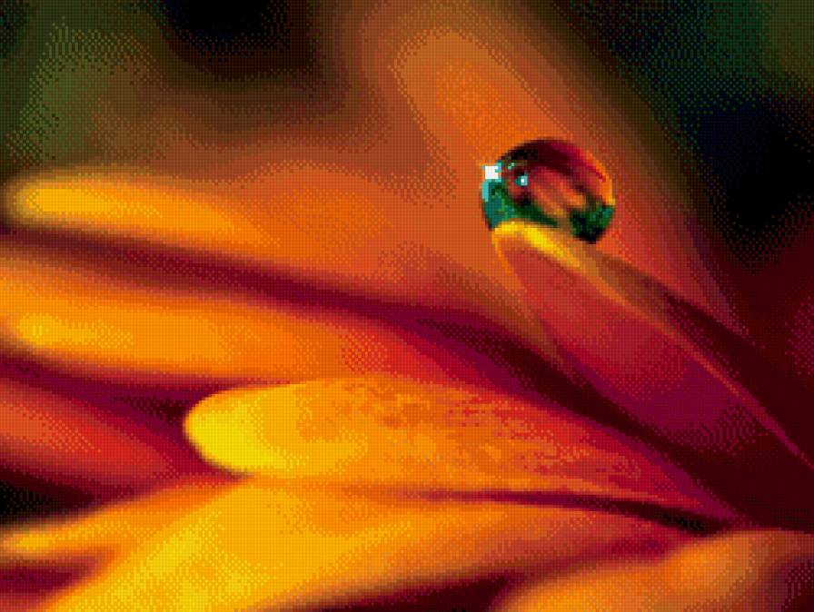 росинка-слезинка - роса, цветок, лепесток, вода - предпросмотр