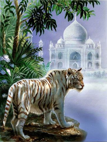 Снежный тигр - тигр, природа, мечеть - оригинал