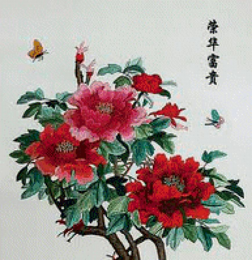 Китайские пионы - пионы, китай, цветы - предпросмотр