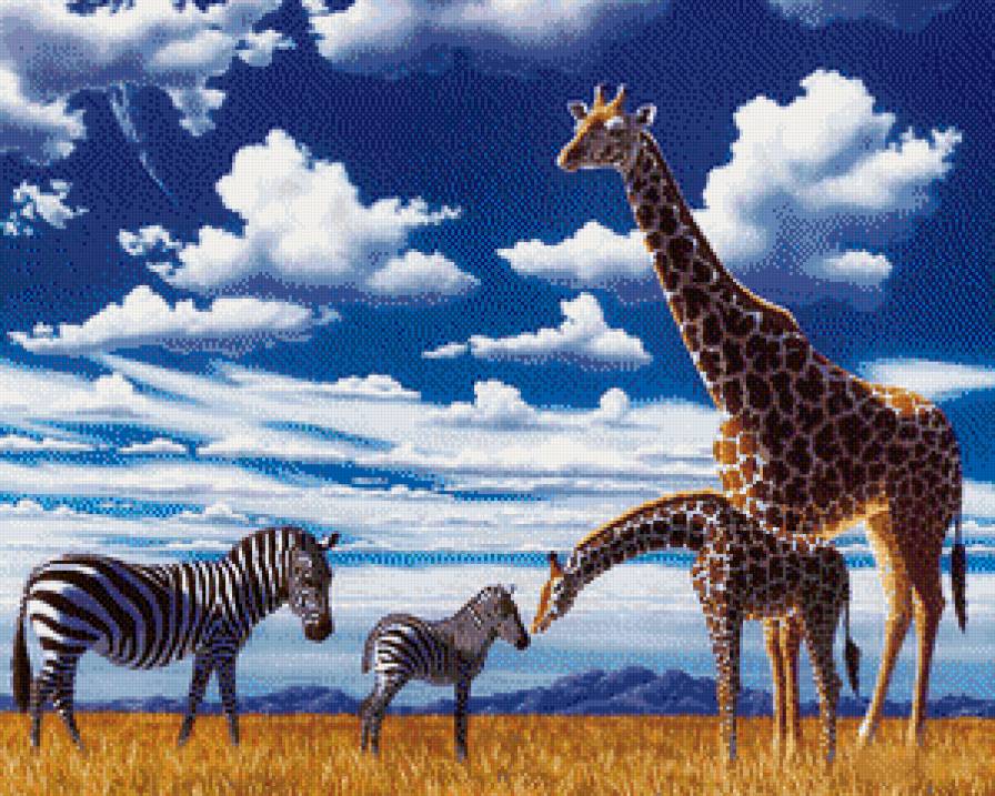 №776935 - природа, животные, зебра, жираф - предпросмотр