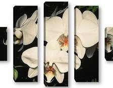 Оригинал схемы вышивки «триптих орхидея» (№777063)