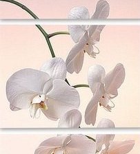 Схема вышивки «триптих орхидея»