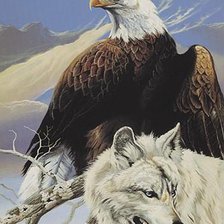 Схема вышивки «орёл и белый волк»