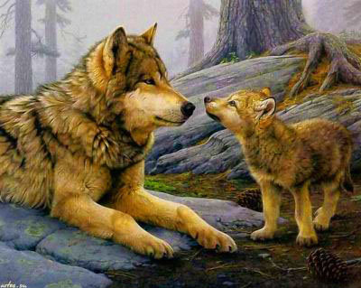 волки - волчонок, лес, волк, животные, хищники - оригинал