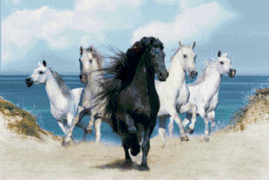 скакуны - табун, лошадки, конь, животные, кони, лошади, лошадь - предпросмотр